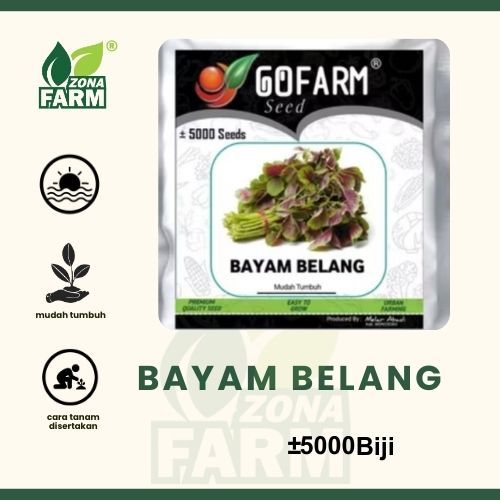 Benih BAYAM BELANG Unggul 5000 Biji