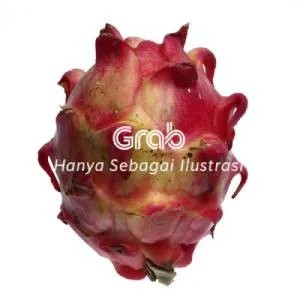 Buah Naga 1Kg