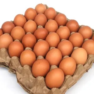 Telur Ayam Negeri 1 Kg