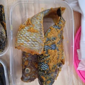 MUJAIR BUMBU KUNING