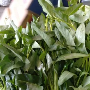 kangkung air 2per pack