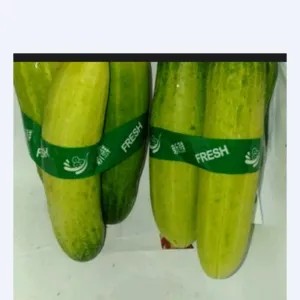timun 1kg
