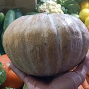 Labu Kuning / Labu parang / waluh 1kg