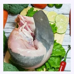 lidah sapi lokal super