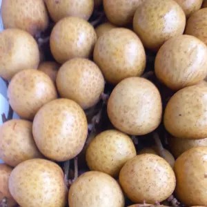 lengkeng bangkok 1kg