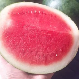 Semangka 1/5 buah