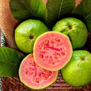 jambu biji 1kg
