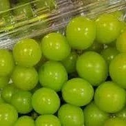 Anggur Hijau muscat