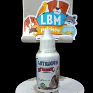 Obat Antibiotik Kucing