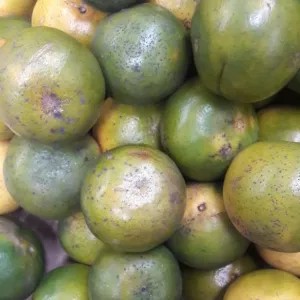 JERUK PERAS PONTIANAK