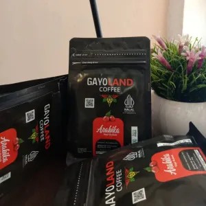 Gayo land arabica super 100g