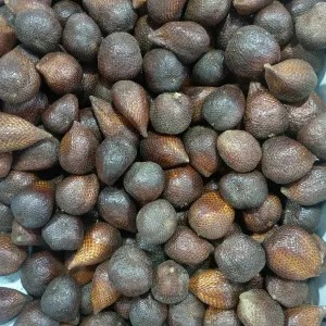 salak pondoh 1kg