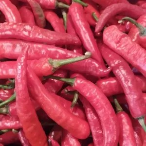 Cabai Merah Tanjung 1kg