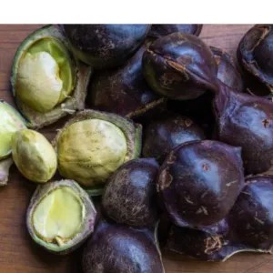 JENGKOL MUDA / LALAP