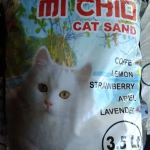 Mi Chio Pasir Kucing