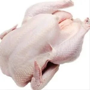 ayam utuh 1 ekor 1.5kg