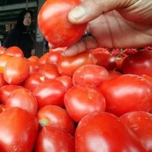 Tomat Besar | Buah 500g