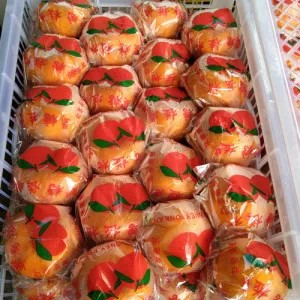 JERUK MANDARIN PONKAM 1kg