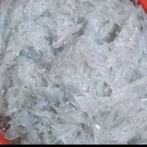 Teri nasi basah MPASI