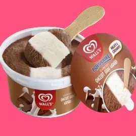 Walls Ice Cream  Populaire Choco Cup