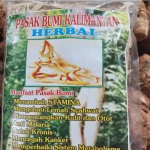 AKAR PASAK BUMI KALIMANTAN