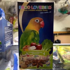 ebod lovebird dus
