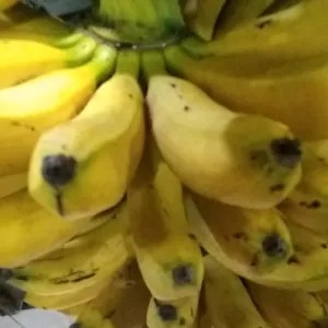 pisang raja 1sisir