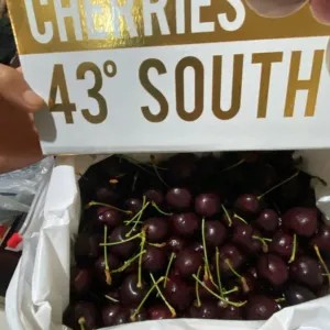 Cherry Tasmanian 500g