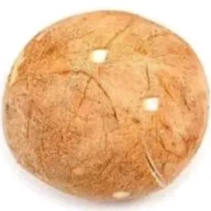 kelapa tua bulat utuh tdk dikerik