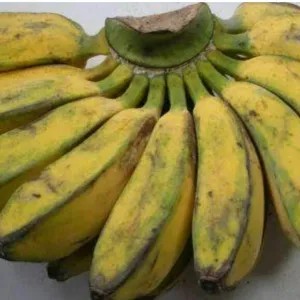 pisang kepok merah original/fresh 1 cengkeh