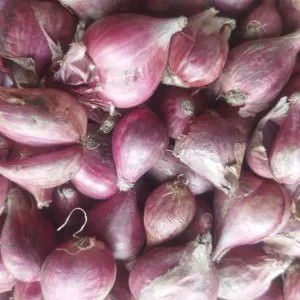 Bawang merah brebes besar 1kg 1kg
