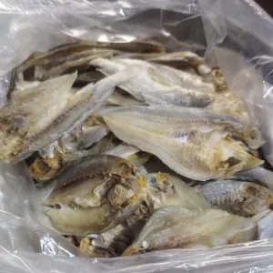 ikan asin kepala batu 1kg 1kg