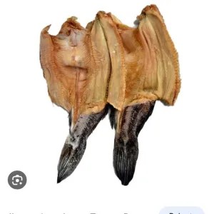 ikan asin gabus kering