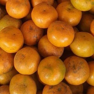 jeruk medan super 1kg