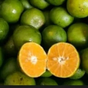 jeruk peras manis pontianak 1kg