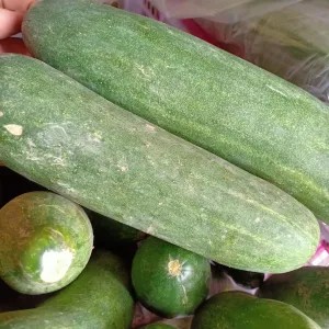 Timun 1kg