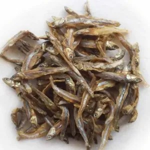 Ikan teri tawar bunga