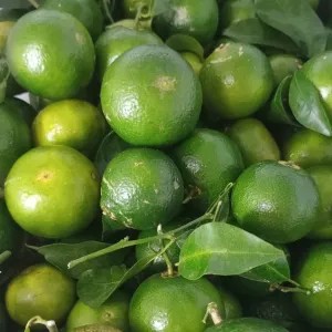 Jeruk santang madu hijau 1kg