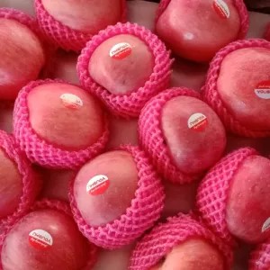 apel fuji/ premium 1kg