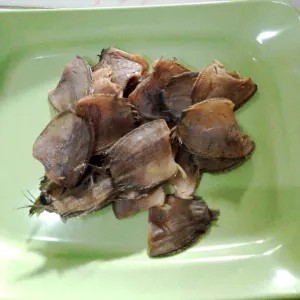 Gereh sepat kecil / Ikan asin sepat