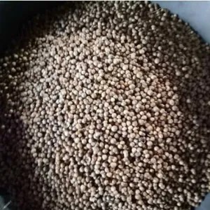 Ketumbar hitam ketumbar Alami