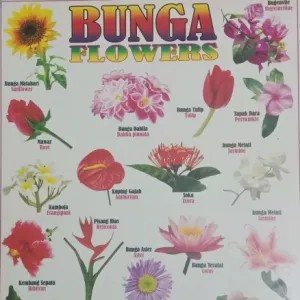 Poster Bunga