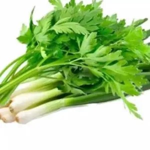 Daun Bawang Seledri