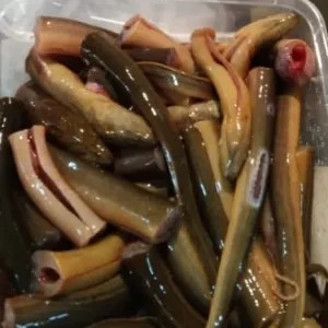 BELUT SAWAH 1 KG + BUMBU DAPUR