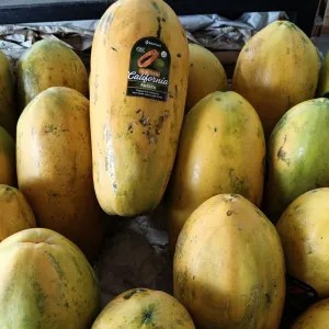 pepaya golden california 1.5kg