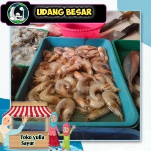 Udang Besar