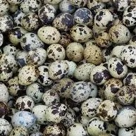 Telur Puyuh mentah ½kg