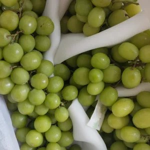 Anggur Hijau shine Muscat curah 1kg