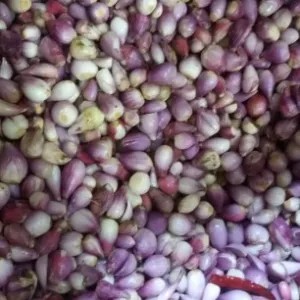 Bawang merah kupas 1 ons