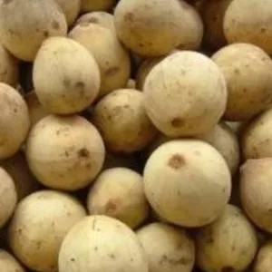 Duku Palembang Manis